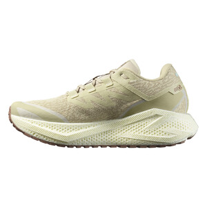 SALOMON AERO GLIDE 3 GRVL Homme Greenh/vanila/ru