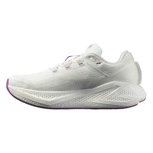 SALOMON AERO GLIDE 3 Homme White/white/willow