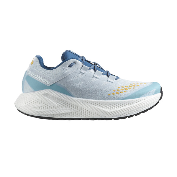 Chaussures de sport Salomon AERO GLIDE 3 GRVL Homme