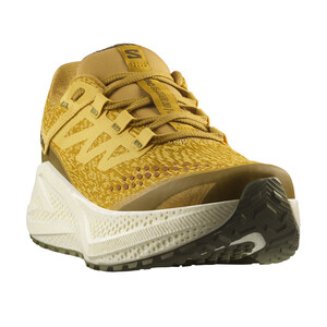 Salomon AERO GLIDE 3 GRVL Spicym/vanila/dl Homme