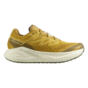 SALOMON AERO GLIDE 3 GRVL Homme Spicym/vanila/dl