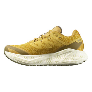 SALOMON AERO GLIDE 3 GRVL Homme Spicym/vanila/dl