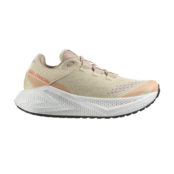 Chaussures de running Salomon AERO GLIDE 3 GRVL Femme