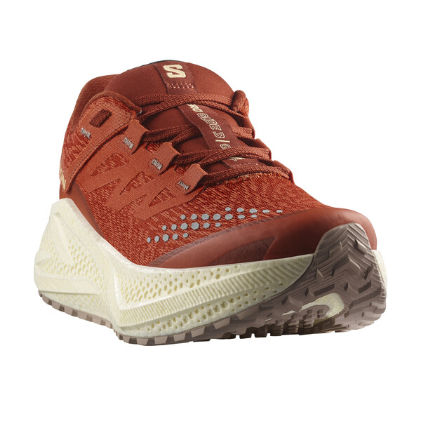 Chaussures de cour Salomon AERO GLIDE 3 GRVL Femme