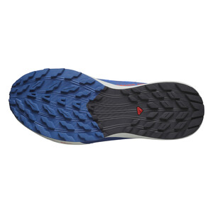 SALOMON SENSE RIDE 5 Homme Frnchb/black/dark B