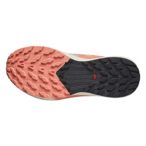 SALOMON SENSE RIDE 5 Femme Tender/fuco/black