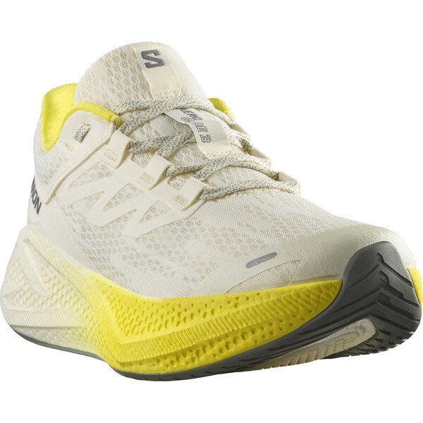Baskets de running Salomon AERO GLIDE 3