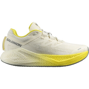 SALOMON AERO GLIDE 3