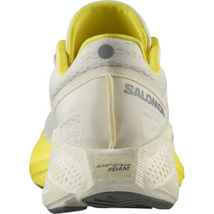 SALOMON AERO GLIDE 3