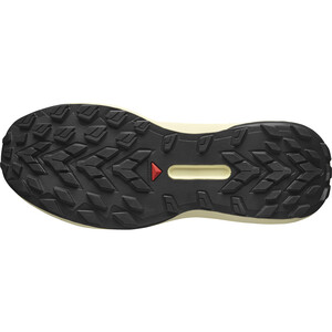 SALOMON GENESIS