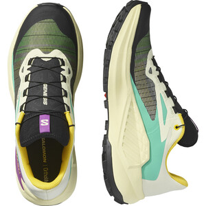 SALOMON GENESIS