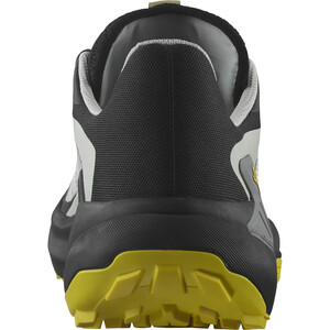 SALOMON GENESIS