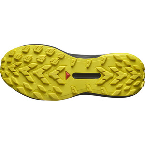 SALOMON GENESIS