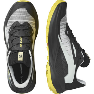 SALOMON GENESIS