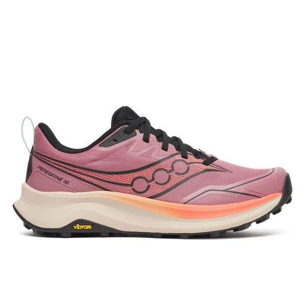Chaussures de cour Saucony PEREGRINE 16 Femme