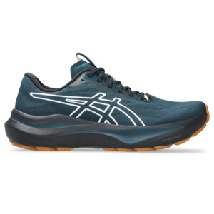 Asics GT-2000 14 tr Homme