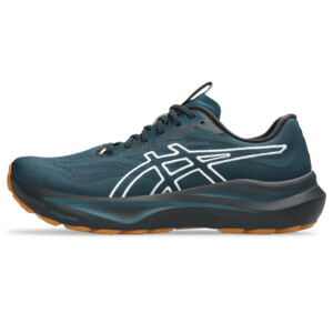 Asics GT-2000 14 tr Homme