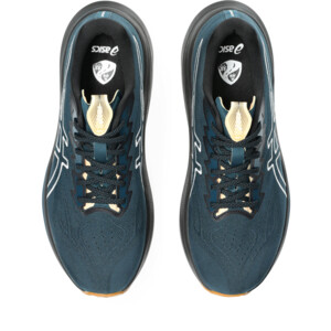 Asics GT-2000 14 tr Homme