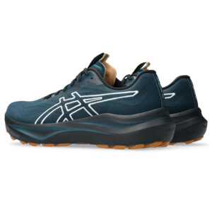Asics GT-2000 14 tr Homme