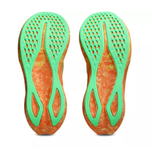 Asics NOOSA TRI 16 Femme