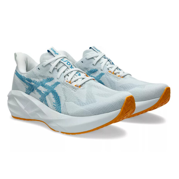 Chaussures de cour Asics NOVABLAST 5 Homme