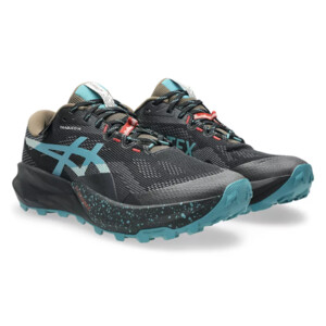 Asics GEL-Trabuco 14 GTX  Homme