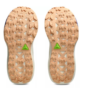 ASICS Trabuco Max 5 Femme