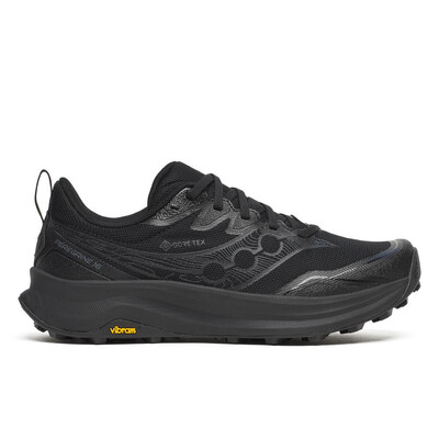 Saucony PEREGRINE 16 GTX  Femme