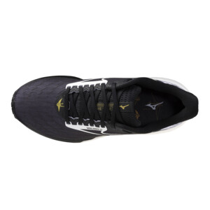 MIZUNO WAVE RIDER 29 Homme