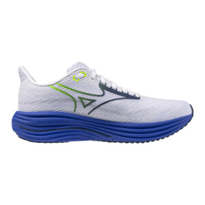 MIZUNO WAVE RIDER 29 Homme