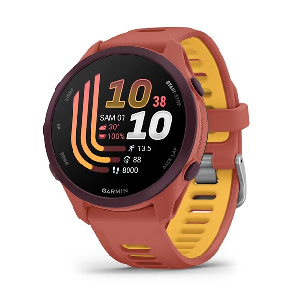 Garmin Forerunner 170 Music