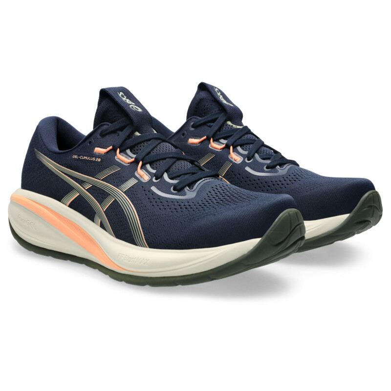 Chaussures de cour Asics GEL-CUMULUS 28 Homme