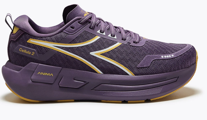 Chaussures de cour Diadora CELLULA  2 W Femme